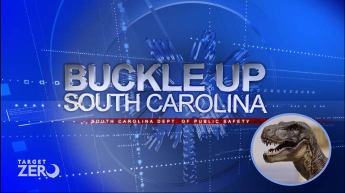 2019 Buckle Up, South Carolina Campaign